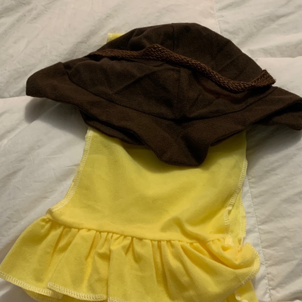 Kids Wizard of Oz Scarecrow Costume - Green and Brown - Picture 5 of 5